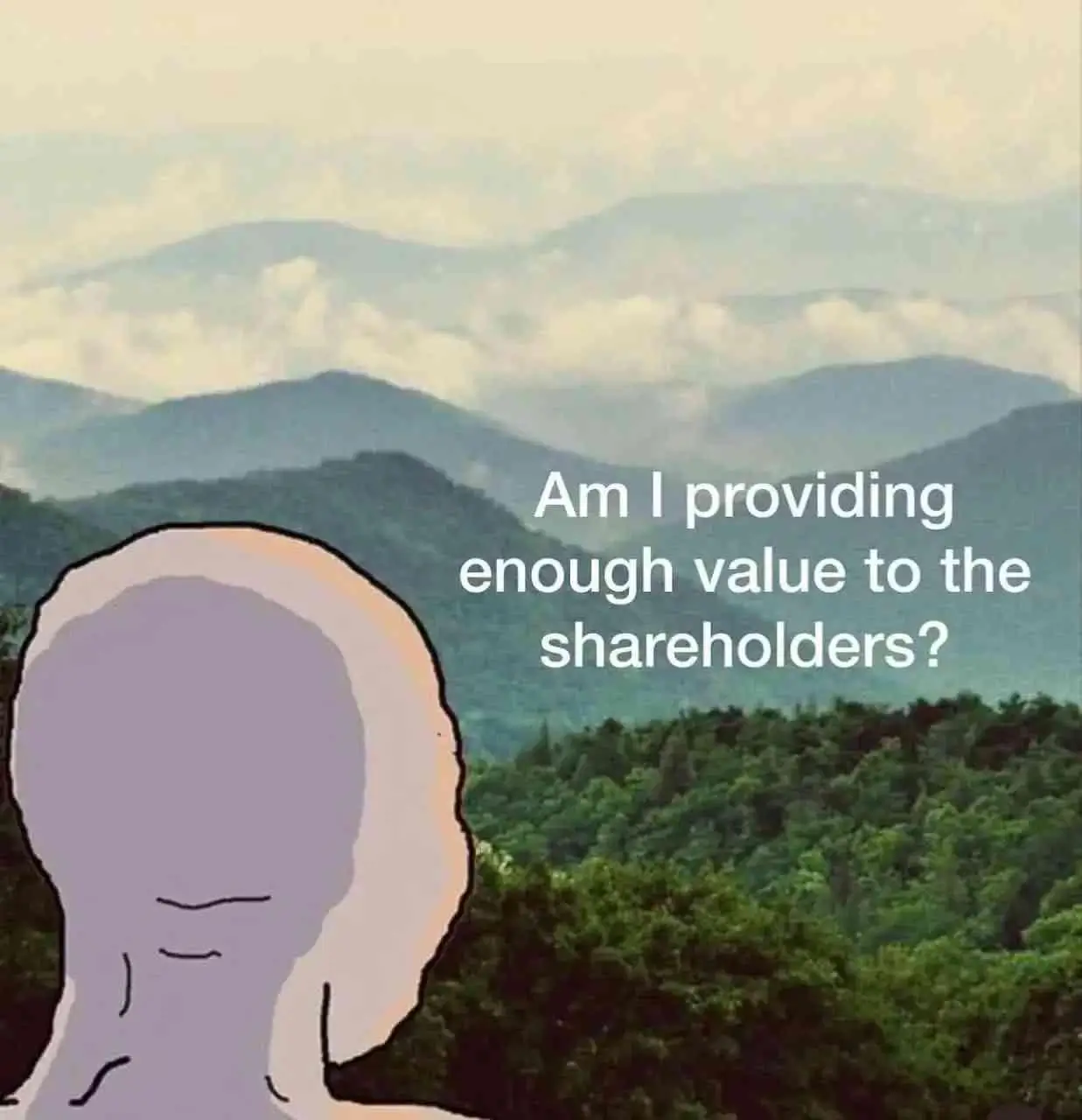 Wojak staring over mountains and thinking 'Am I providing enough value to the shareholders?'