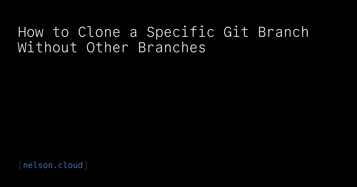 How to Clone a Specific Git Branch Without Other Branches | Nelson Figueroa